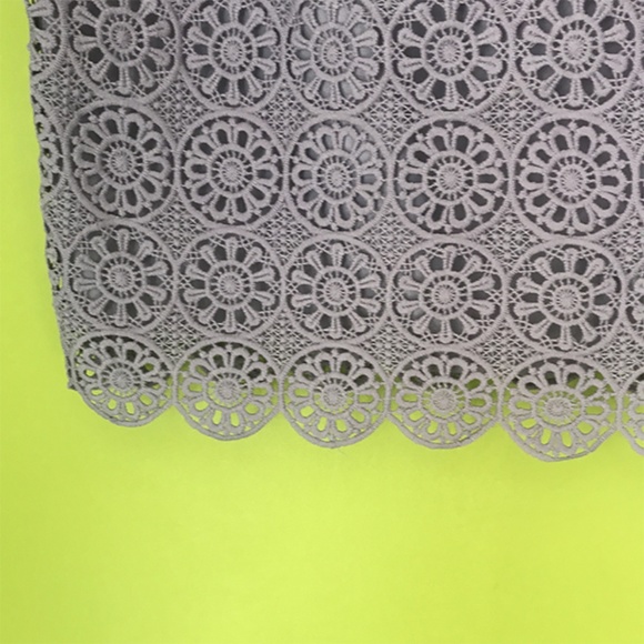 The Limited Intricate Floral Lace Gray Skirt Sz 6 - Picture 6 of 8